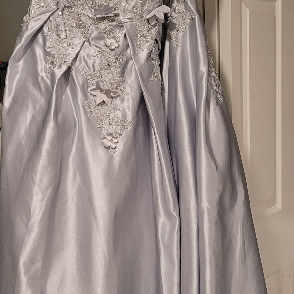 Silver ball gown size 20 Hebeos brand